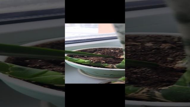 Нужен совет! смотреть онлайн