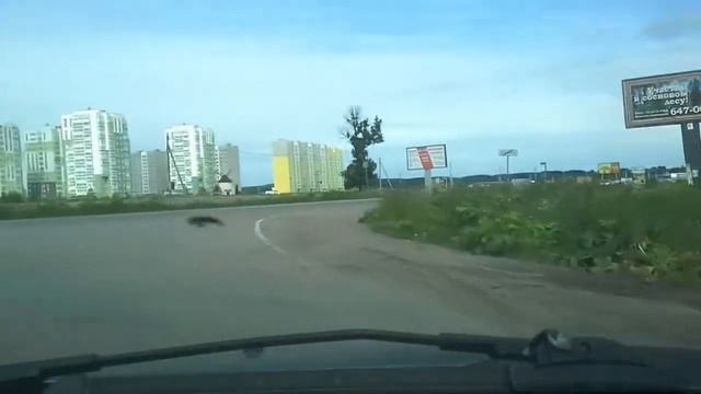 Съезд с КАД в Янино смотреть онлайн