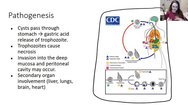 Entamoeba Histolytica