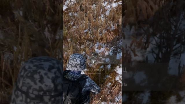 Смотри какой зайчишка. EnterDayZ Vanilla FrostLine PvE. #СталкерБаннерщик #DayZ #FrostLine смотреть онлайн