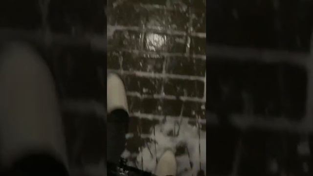 ГОЛОЛЁД В БЕЛАРУСИ 12.12.2020 смотреть онлайн