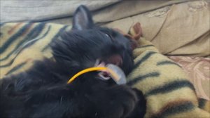 20241102_1022 шея не мытая