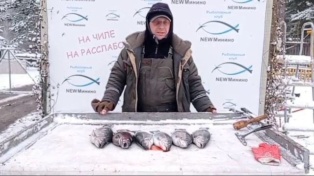 гость водоёма смотреть онлайн