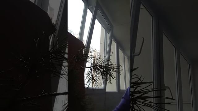 Снимаем любую порчусглаз. Просто смотрим⬛ смотреть онлайн