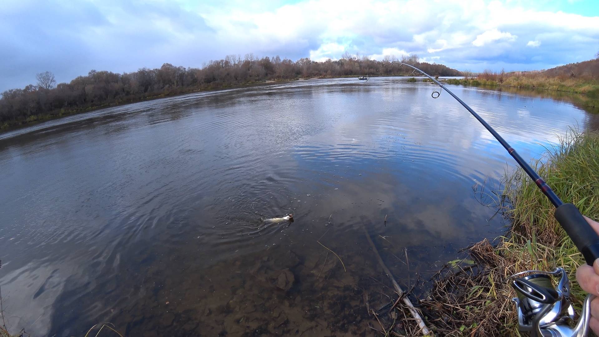 Никакой снег нас не остановит. Ловля щуки на Оке в ноябре на воблеры.