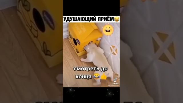 Выкурил)) смотреть онлайн