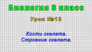 Биология 8 класс (Урок№13 - Кости скелета. Строение скелета.)