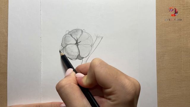 Рисуем Хлопок в Графике! смотреть онлайн