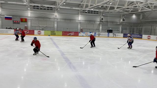 ПС - Лигры 03.11.24 - 1 период