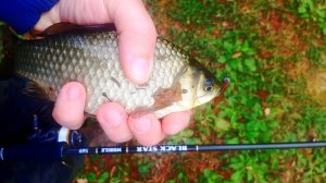 Карась на спиннинг.  Микро нано джиг.