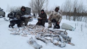 Дикие озёра в Хмао. Рыбалка мечты.