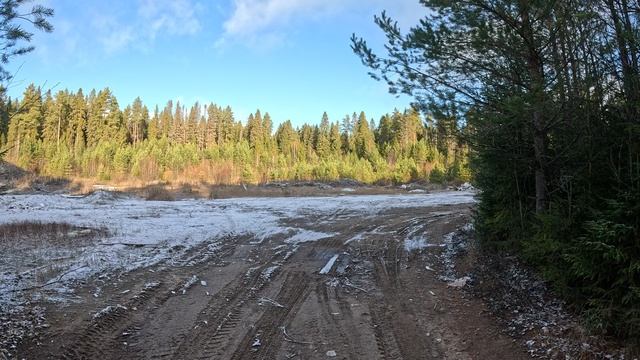 г. Тотьма-Лес #Россия, #Природа, #totmapriroda, #Totma, #Russia, #priroda, #Тотьма