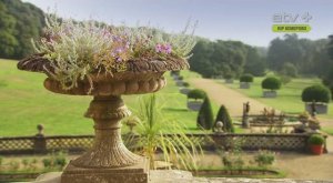 Тайная история британских садов. 19-й век