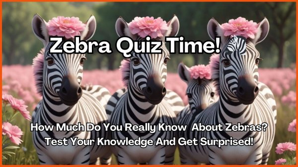 Zebra Quiz Compilation! Test Your Knowledge! #AnimalTrivia #QuizCompilation #WildlifeQuiz