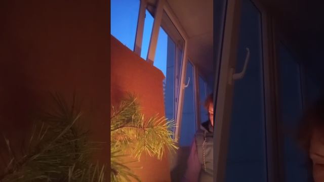 Закопали живой в могилу. Снимаем все подклады. переклады. Порчу на смерть смотреть онлайн