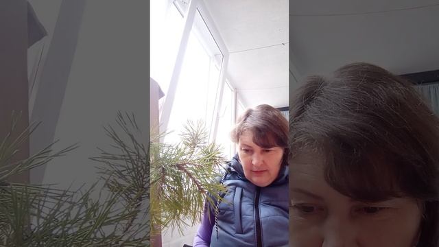 Ритуал отсечения от Рода.Чистка. Мощно снимаем негатив, порчи, крадники способностей. + Защита смотреть онлайн