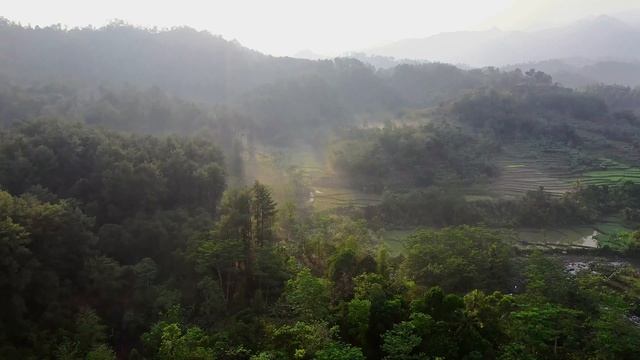 [Relax] - Спящий лес // Музыка для релакса и отдыха смотреть онлайн