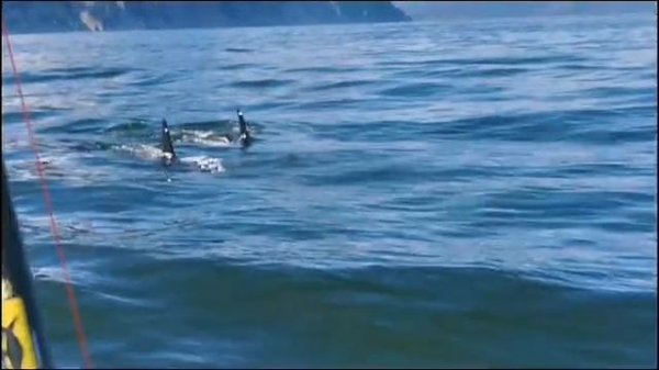 Петропавловск-Камчатский, сентябрь 2024