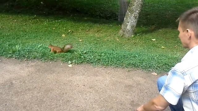 20 августа 2017 г.(2) смотреть онлайн