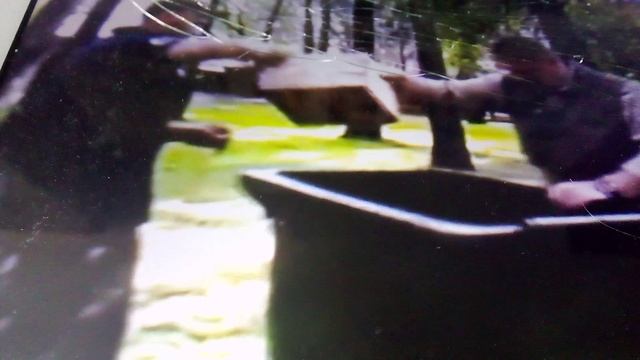 Вкусный шалаш из листьев для пятнистых оленей Новосибирского зоопарка.