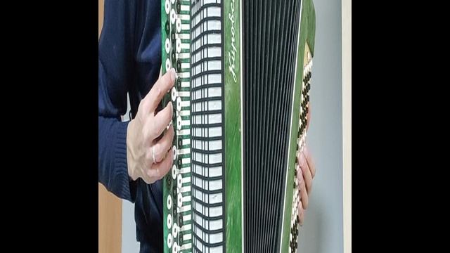 СӘРМӘН БУЙЛАРЫНДА - обучающий видеоразбор на БАЯНЕ смотреть онлайн