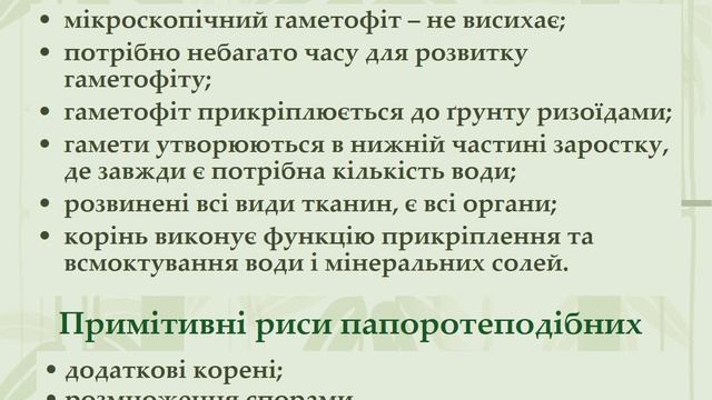 Папороті 6 клас смотреть онлайн