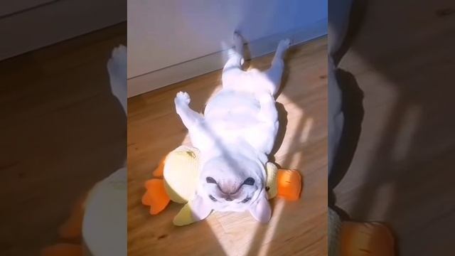 Солнечная ванна смотреть онлайн