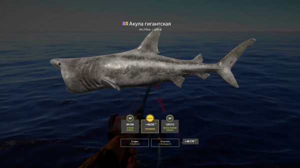 Русская Рыбалка 4 [PC 2018] 🐟 Гигантская Акула, новый мой рекорд