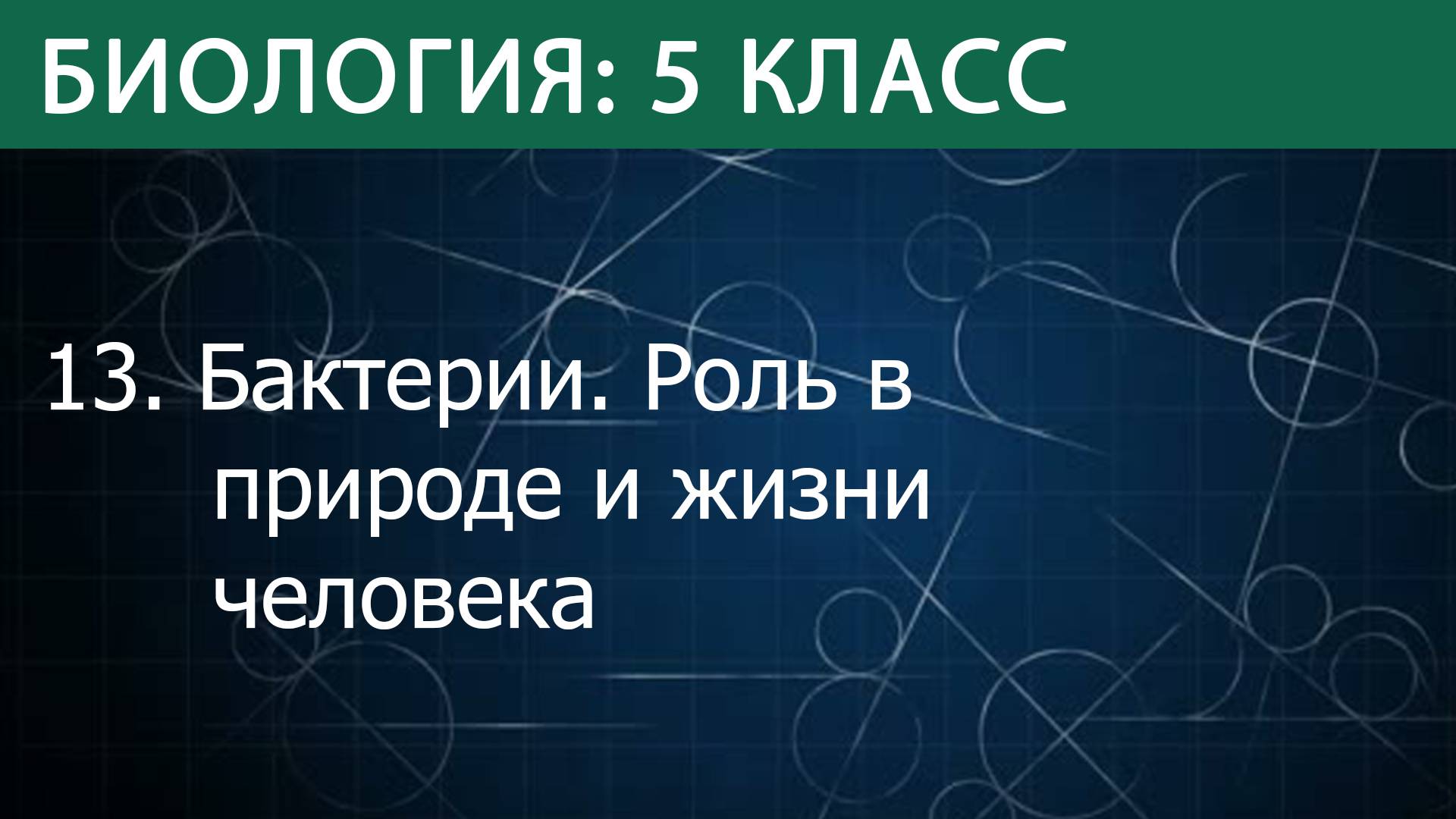 Биология 5 класс: Бактерии. Роль в природе и жизни человека смотреть онлайн