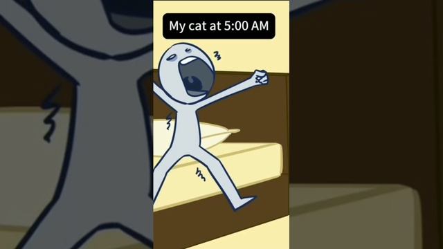 Мой кот в 5 утра #shorts