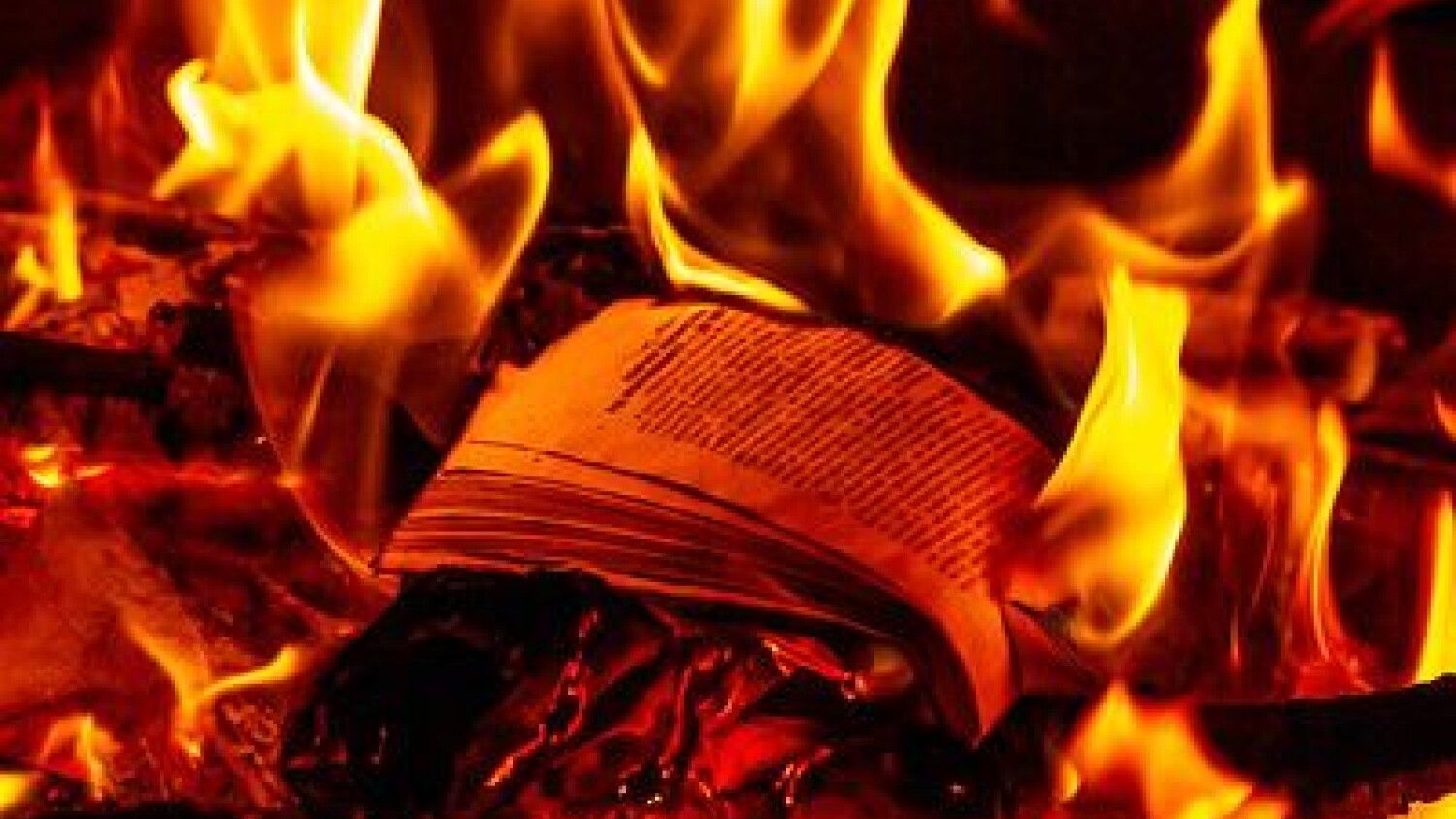 Fireplace Камин Звуки камина Звуки огня Камин Звуки для сна