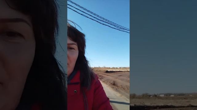 #shorts Прогулка за подсолнухами Замерзли мои ребятки! ❤ смотреть онлайн