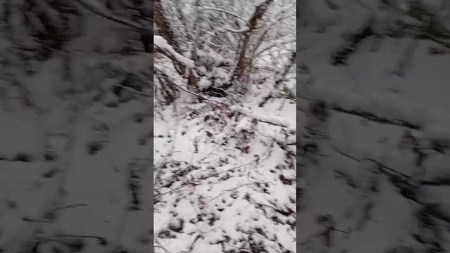 Апята Зимой смотреть онлайн