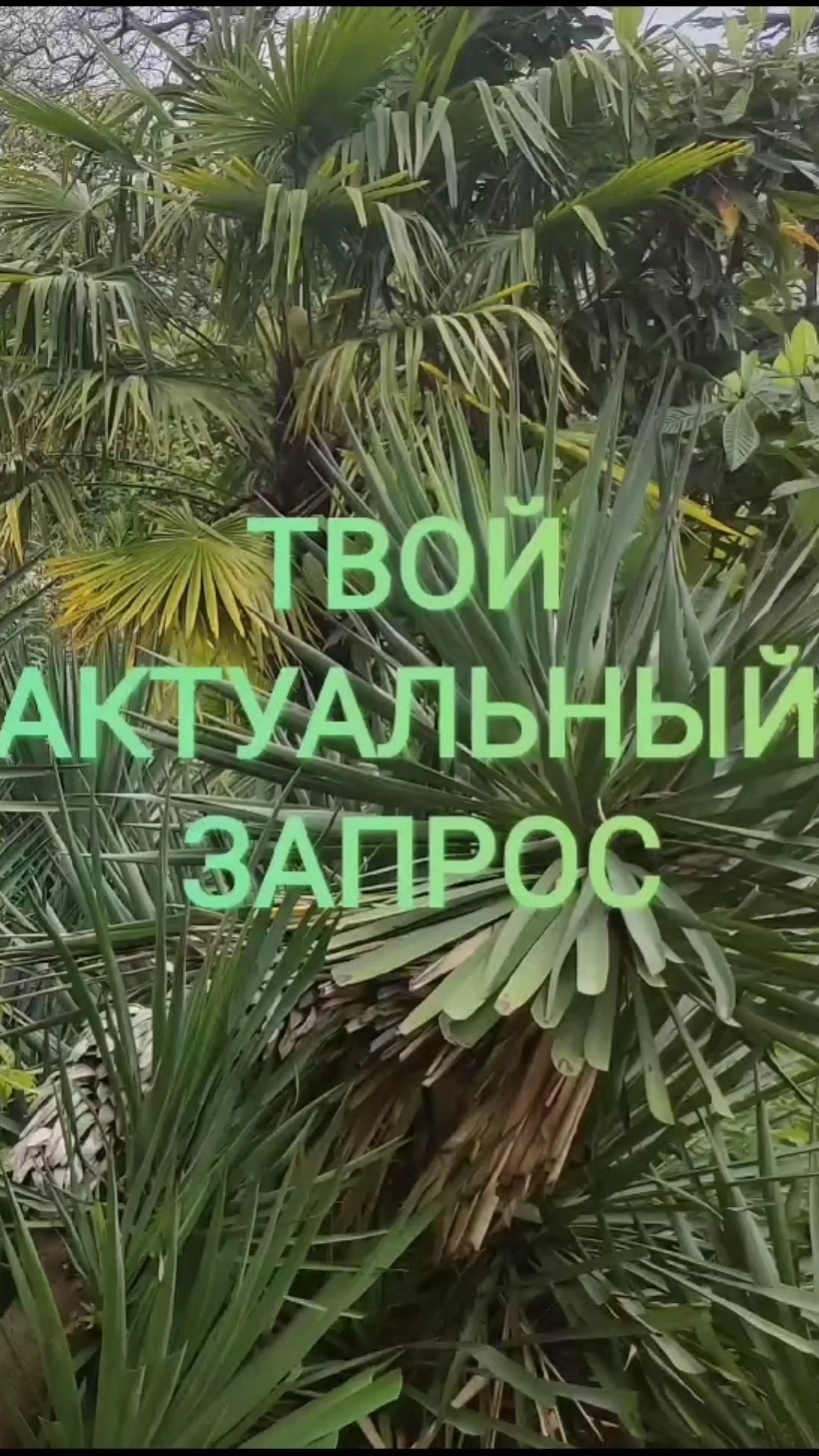 Если не знаешь, чего хочешь...