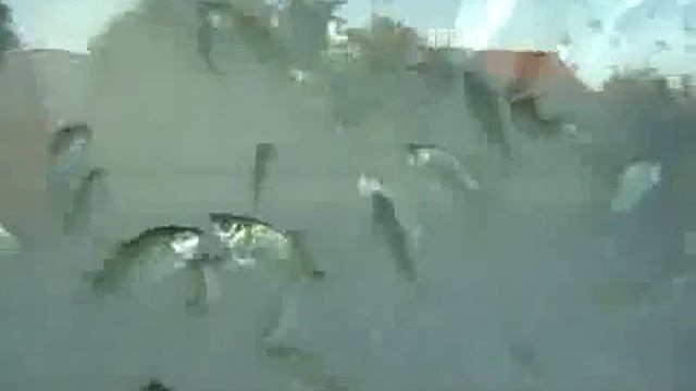 Под лаской плюшевого пледа РОМАНС смотреть онлайн