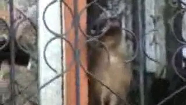 Семейный конфликт смотреть онлайн