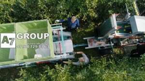 Комбайн для уборки яблок с деревьев (часть 2)