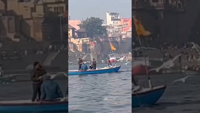 Птицы над Гангом #колесосансары #варанаси #шива #ганг смотреть онлайн