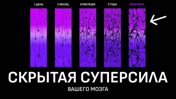 [Homo Deus] Самое недооцененное свойство мозга