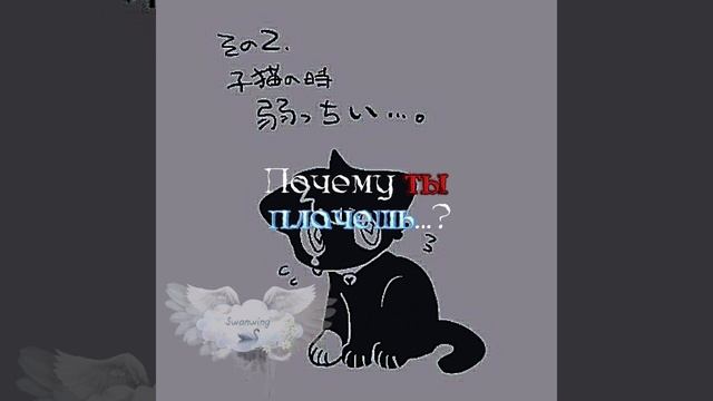 Scourge Warrior Cats