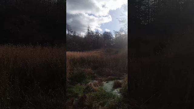 Горячие ключи, Даги, Сахалин смотреть онлайн