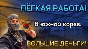 Работа в южной корее! Лёгкая и за МНОГО денег!