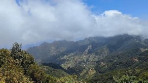 Тенерифе, день 10-й: Национальный парк Рураль де Анага  |  Parque Rural de Anaga, Tenerife, Spain