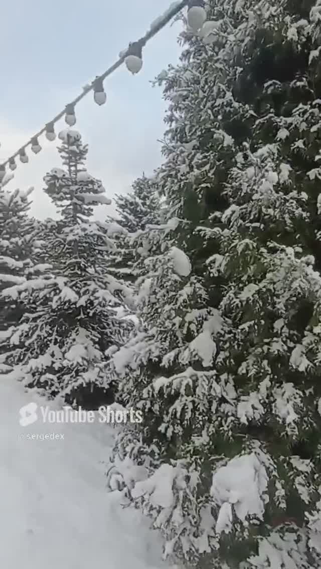 Кисловодск. Зима пришла. 5 ноября 2024 г. #кисловодск #relaxingmusic смотреть онлайн