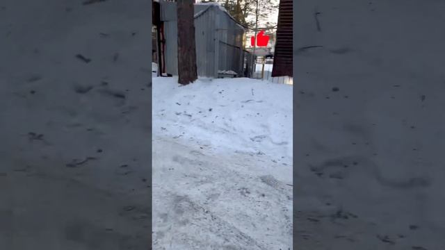 My day in a few seconds | Lerochka ✌ #shorts #tiktok смотреть онлайн