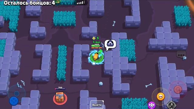 новый мем:бешеная чайка