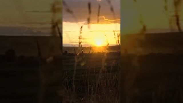 Закат над Аркаимом #путешествия #аркаим #археология #закат смотреть онлайн