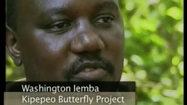 Reading Exp - Unit 11 смотреть онлайн