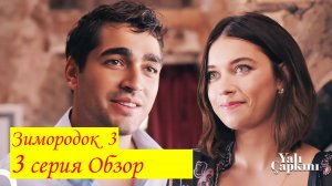 Зимородок 3. Серия 3. Обзор - пересказ.