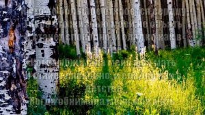 За тихой рекою ( Хор "Кредо") караоке